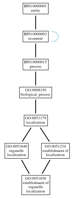 Graph of GO:0051656