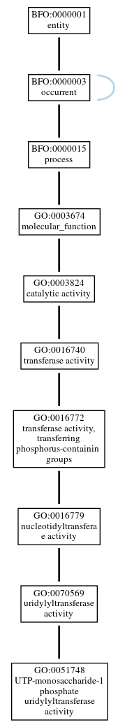 Graph of GO:0051748