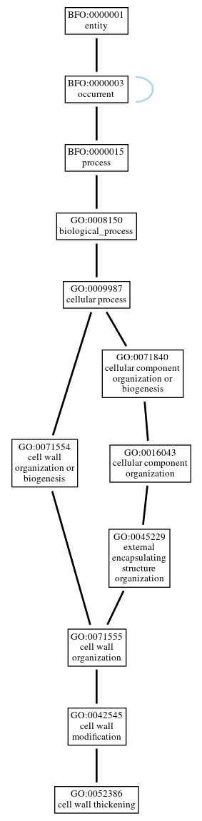 Graph of GO:0052386