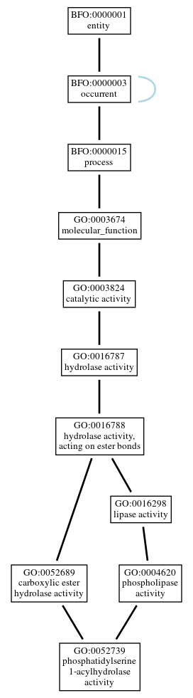Graph of GO:0052739