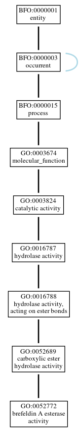 Graph of GO:0052772