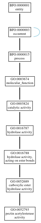 Graph of GO:0052793