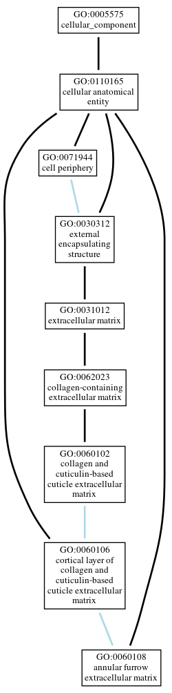 Graph of GO:0060108