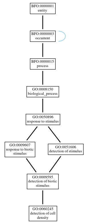 Graph of GO:0060245