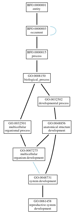 Graph of GO:0061458