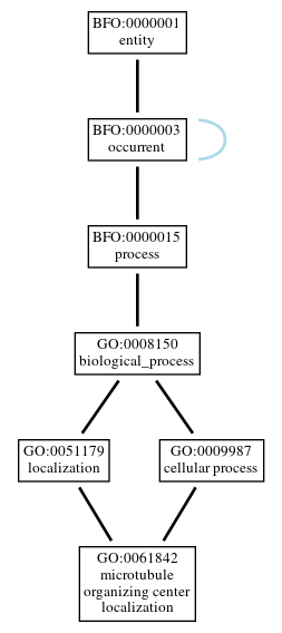 Graph of GO:0061842