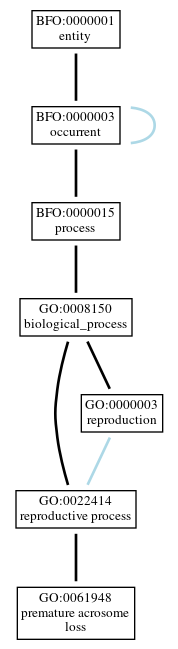 Graph of GO:0061948