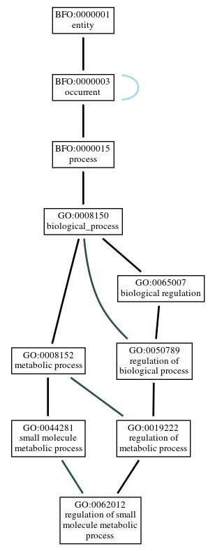 Graph of GO:0062012