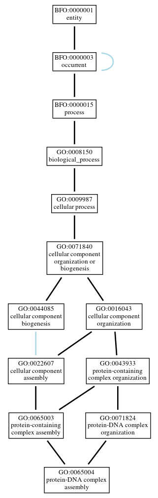 Graph of GO:0065004
