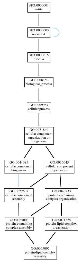 Graph of GO:0065005