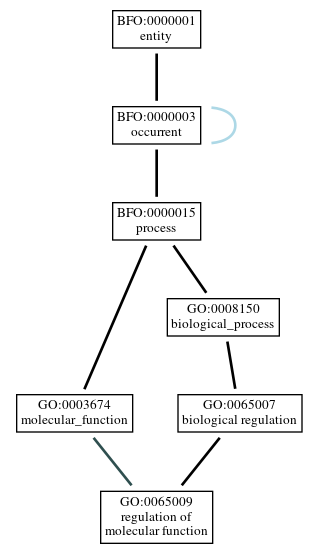 Graph of GO:0065009