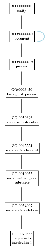 Graph of GO:0070555
