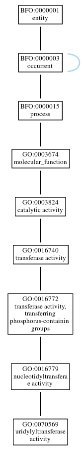 Graph of GO:0070569