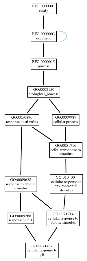 Graph of GO:0071467