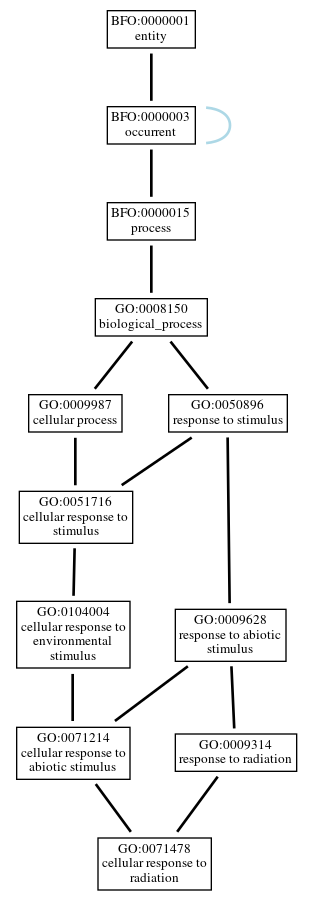 Graph of GO:0071478