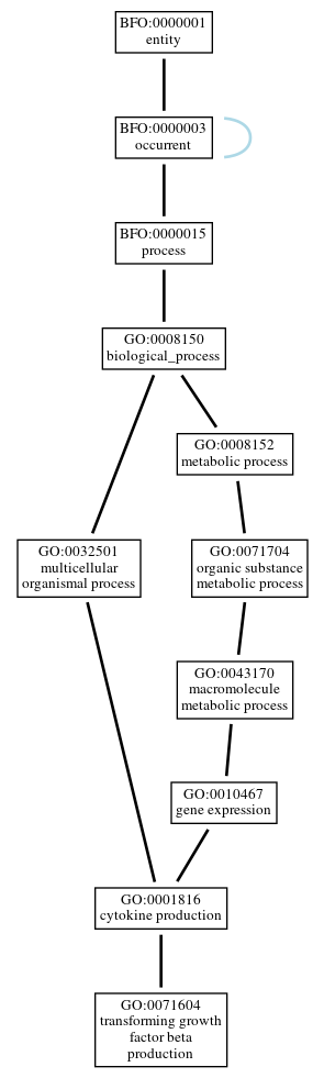 Graph of GO:0071604