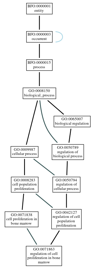 Graph of GO:0071863