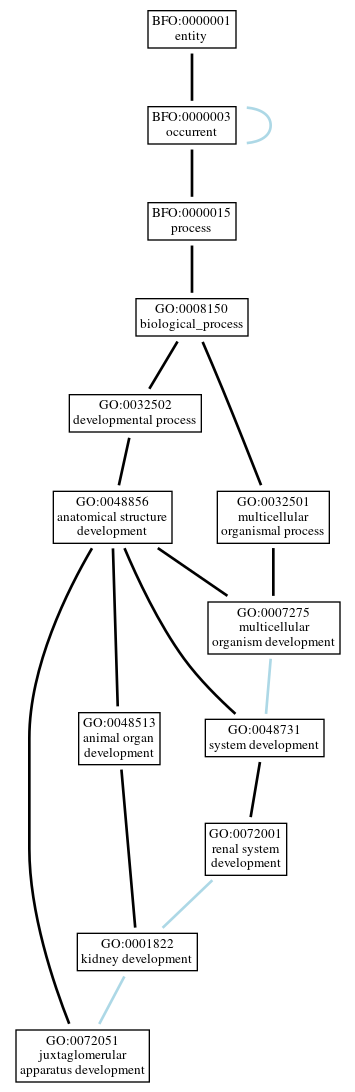 Graph of GO:0072051