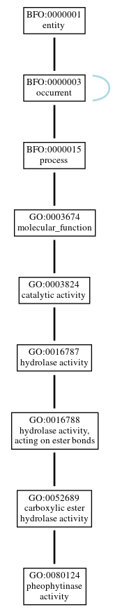 Graph of GO:0080124