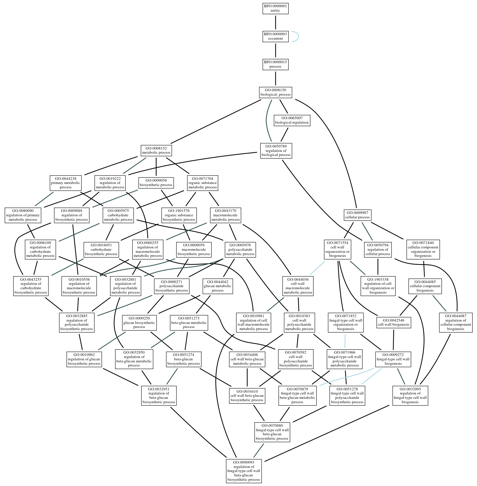Graph of GO:0090093