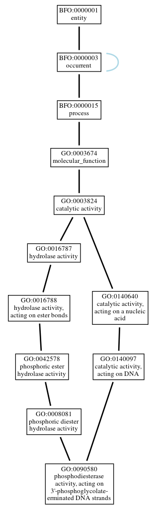 Graph of GO:0090580