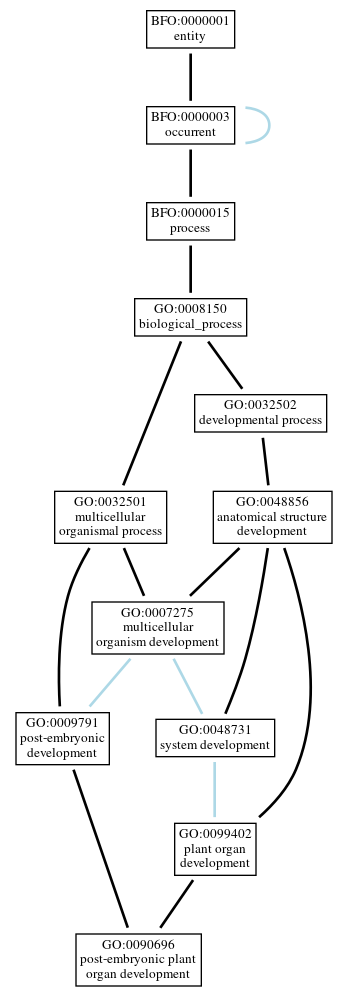Graph of GO:0090696