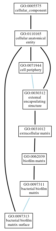 Graph of GO:0097313