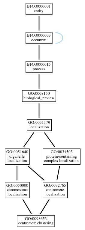 Graph of GO:0098653