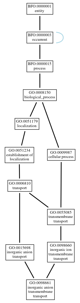 Graph of GO:0098661