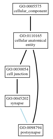 Graph of GO:0098794