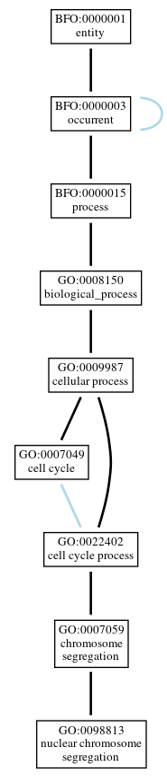 Graph of GO:0098813