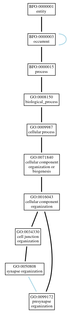 Graph of GO:0099172