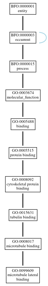 Graph of GO:0099609