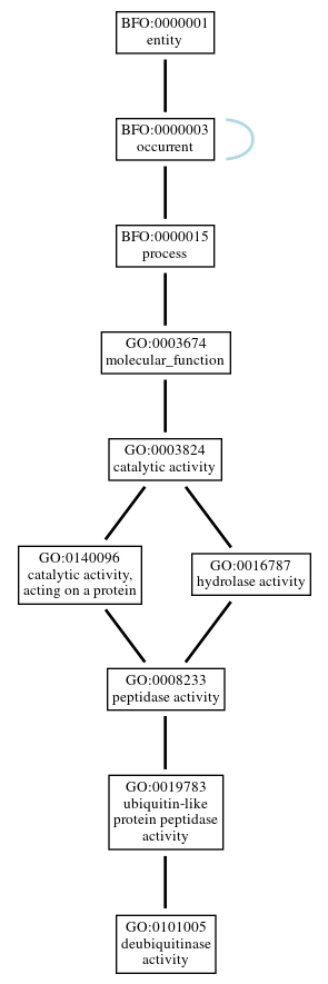 Graph of GO:0101005