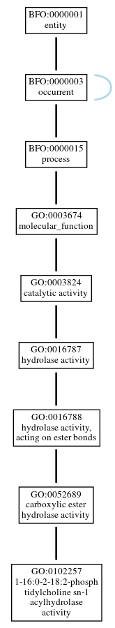 Graph of GO:0102257