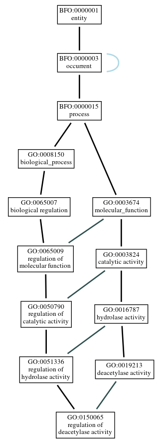 Graph of GO:0150065