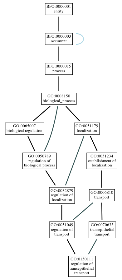 Graph of GO:0150111
