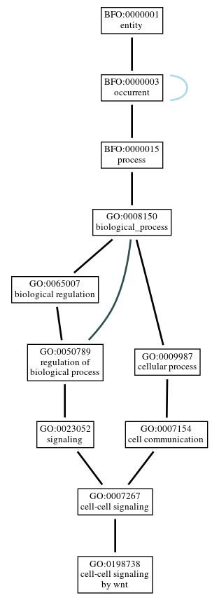 Graph of GO:0198738