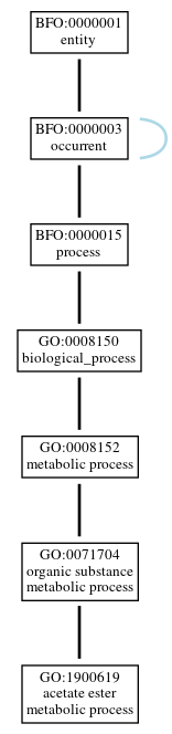 Graph of GO:1900619