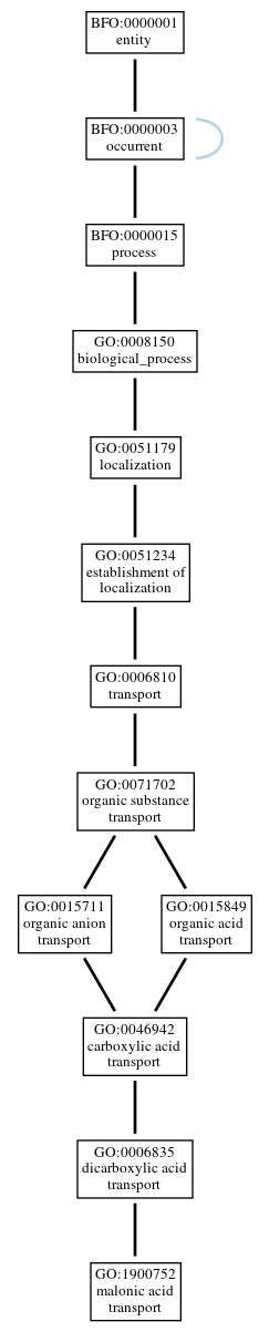 Graph of GO:1900752