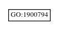 Graph of GO:1900794