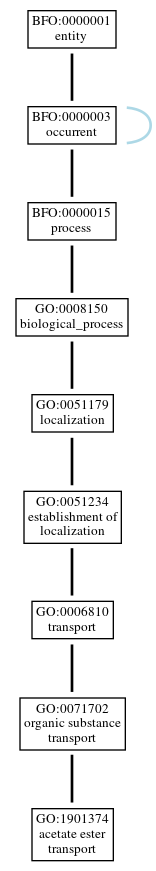 Graph of GO:1901374