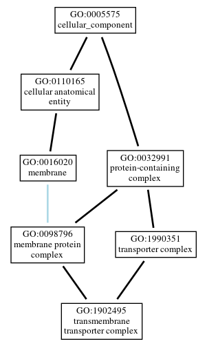 Graph of GO:1902495