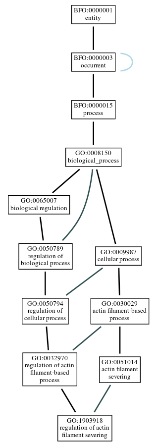 Graph of GO:1903918