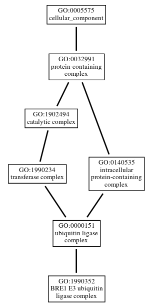 Graph of GO:1990352