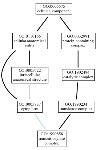 Graph of GO:1990658