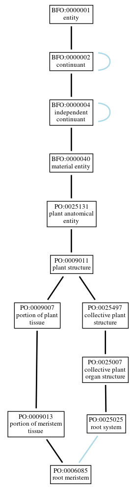 Graph of PO:0006085