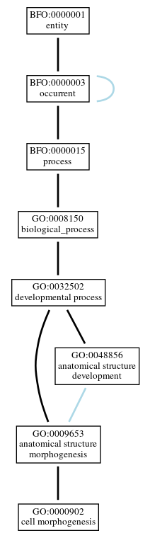 Graph of GO:0000902