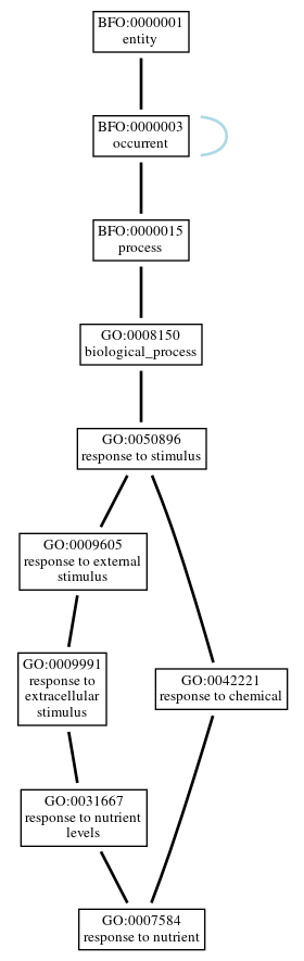 Graph of GO:0007584