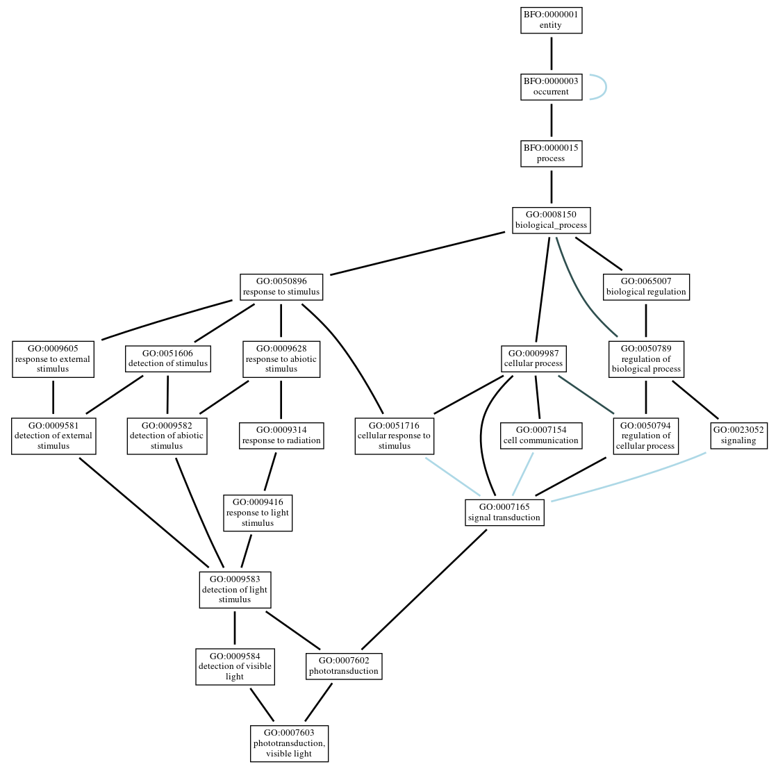 Graph of GO:0007603